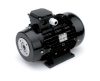 30546-elektromotor-nicolini-priruba-a-pruzna-spojka